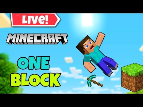 MINECRAFT ONE BLOCK