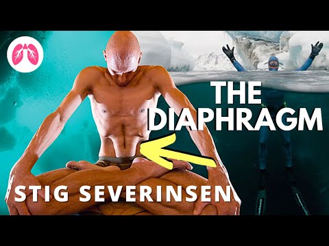 The Power of The Diaphragm | Stig Severinsen| TAKE A DEEP BREATH CLIPS #podcast