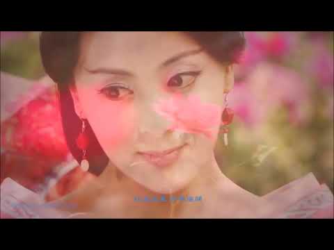 经典古风歌曲【花好月圆 - Blooming Flowers and Full Moon】Solo Ling Ling 祝福中秋佳节幸福快乐！