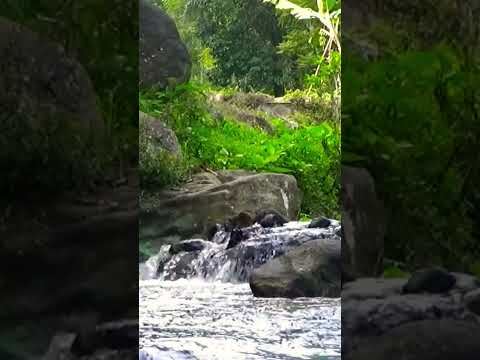 Soothing sound for sleep and meditation #nature #soothingsound #riversounds #relaxing #shorts