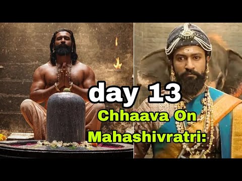 chhaava box office collection day 13, vikky koushal, rashmika mandana, chhava, chhaava,  #chhaava