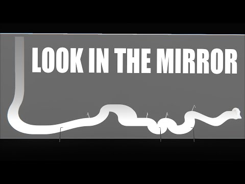 I Built a Mirror Track That EVERYONE Hated...