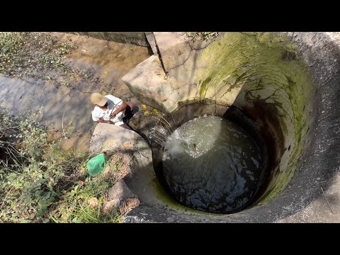 Amazing fishing video | singal hook fishing | beautiful fishing spot