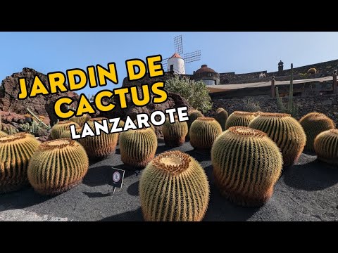 A walkthrough tour of the world famous cactus garden in Lanzarote