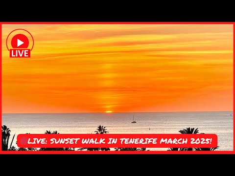 🔴LIVE: Sunset Walk in South Tenerife! ☀️ Cheltenham Week begins! March 2025 Canary Islands 🇮🇨