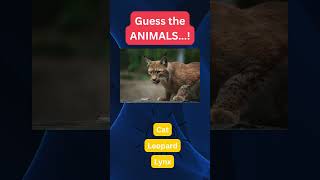 Guess the Animals: 25🐶🐱 Test Your Knowledge! 🧠🤯 #AnimalChallenge #TriviaTime #WildlifeGuessingGame