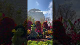 🌺 EPCOT’S Flower and Garden Festival #disney #disneyworld #epcot #encanto #flowerandgardenfestival