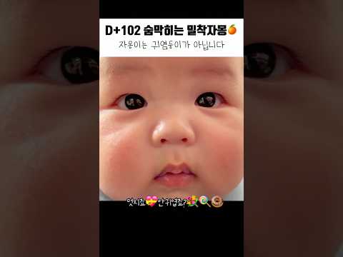 (생후 102일차) 숨막히는 밀착자몽🍊(카리스마 자몽?) #baby #babyshorts #3개월아기 #자몽 #야인시대 #귀여워