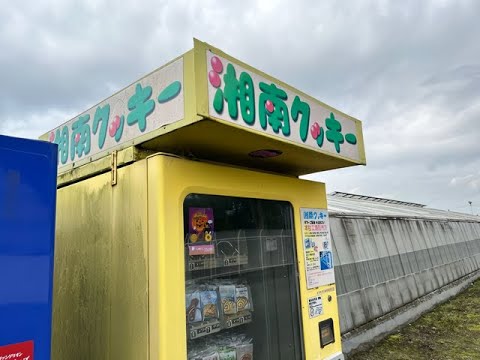 湘南 ｸｯｷｰ の 自販機 3