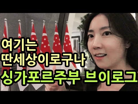 싱가포르 주부일상 브이로그 /관리비의 비밀/내셔널데이 불꽃놀이/PS cafe/마리나베이레이저쇼/Lantern BAR