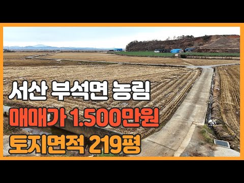 매물번호 753 【작은 토지매매】 매매가 1.500만원 서산시 부석면 강당리에 자리한 평수 작은 농림지역 토지 매매