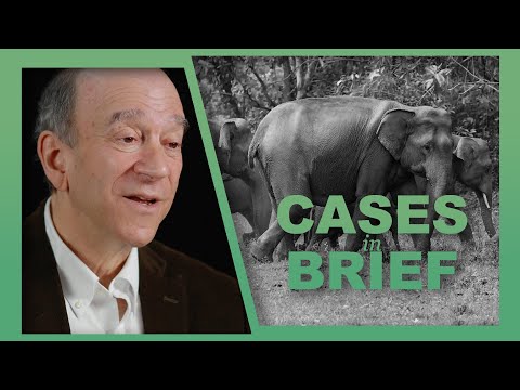 Richard Lazarus on Lujan v. Defenders of Wildlife