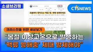 [소셜] 생활ㅣ“봄철 이상고온으로 발생하는 ‘맥류 병해충’ 제때 방제해야” (이한승)ㅣCTS뉴스