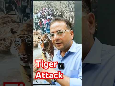 सर्दियों में TIGER हमला क्यों नहीं करता ?