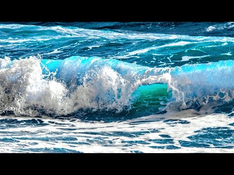 12 Hours of Relaxing Music, Ocean Waves and Seagulls, Beautiful Piano, Sleep Music, Stress Relief