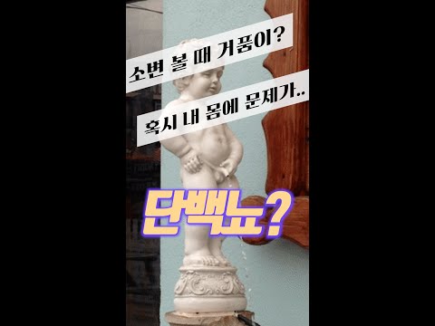 소변을 볼 때 거품이 많이 난다면 나도 혹시 단백뇨? #Shorts