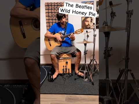 Wild Honey Pie by the Beatles #beatlescover #onemanband #acousticcover #thebeatles #beatles #guitar