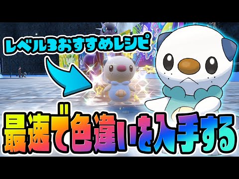 【本日解禁】ミジュマルの色違いを最速で入手するには？【ポケットモンスター スカーレット・バイオレット/SV】最強ダイケンキ対策