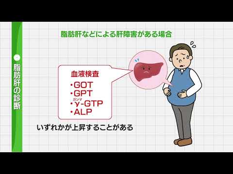 【脂肪肝】食生活などが関係する病気①脂肪肝