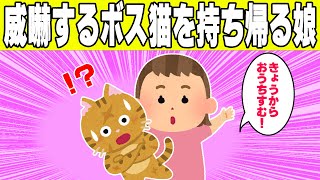 【2chほのぼの】凶暴で有名なボス野良猫たちを妹がお持ち帰りしたwww【ゆっくり】