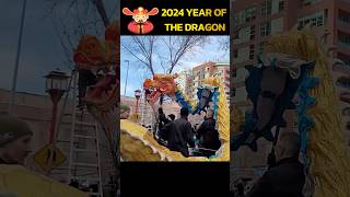 Happy Year of the Dragon 2024! #dragonball #chinesenewyear #yearofthedragon