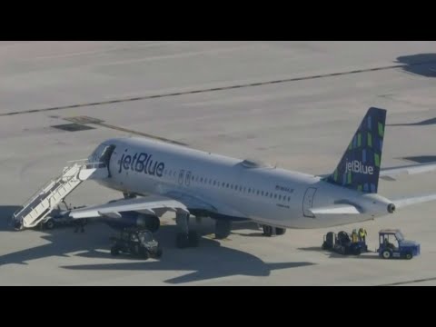 Investigators trying to figure out how stowaways on JetBlue were found dead in plane's landing gear