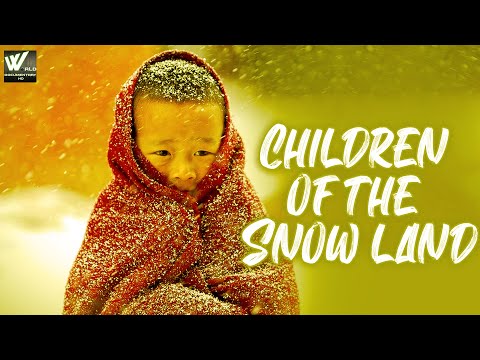 हिम भूमि के बच्चे - Children of the Snow land | The Return of the Snow Children | World Documentary