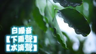 【下雨聲】【水滴聲】深度集中音樂【一小時】增強專注力 提高效率【Deep Focus by Moving Gradients】助睡眠 療癒 哄寶貝 大自然的白噪音 Rain in the Forest