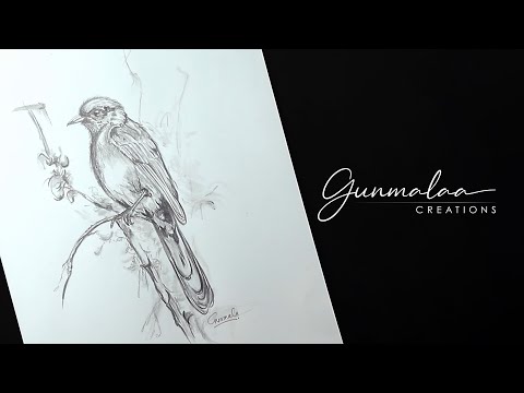 Bird Sketching | Pencil Sketch | GunmalaCreations