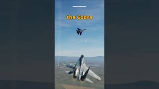 Cobra Button Wins the Dogfight! #dcs #simulation