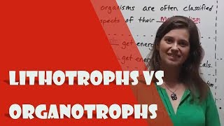 Lithotrophs vs Organotrophs