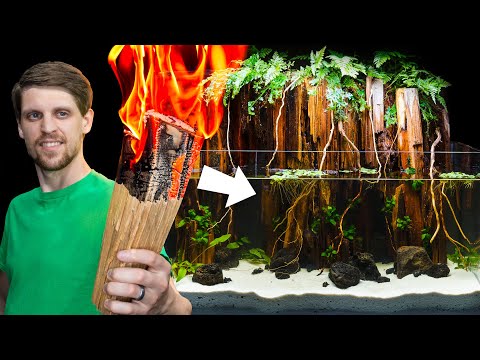 Making a Forest Paludarium from Firewood