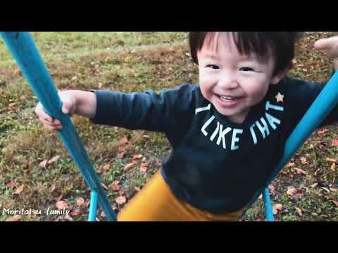 【1分まとめ】紅葉の時期、ふらっと子供と公園で遊んだよ！