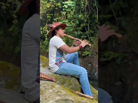 Metasequoia - Flute Panflute #livemusic #jungle #amazon #Ecuador #river #nature #cave #relax #medit