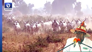 Bauchi Govt Creates Livestock Ministry To Boost Production, Security