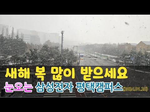 [고덕달팽이]새해 복 많이 받으세요, 눈오는 삼성전자 평택캠퍼스(2024.01.28)