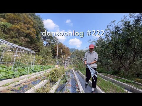 SUB 단순로그222 화려한 도시 불빛 유혹에도 흔들림 없는 천상 시골 여자 vlog