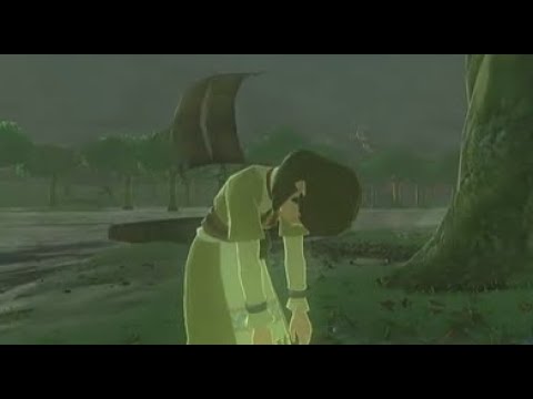 ゼルダの伝説 ブレス オブ ザ ワイルド #3 花を踏んだら杓死