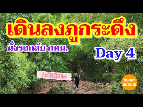 DAY 4 | เดินลงจาก ยอดภูกระดึง​ นั่งรถกลับกรุงเทพ​ฯ | Phukradueng​ National​ Park​ | Sunny​ ontour​