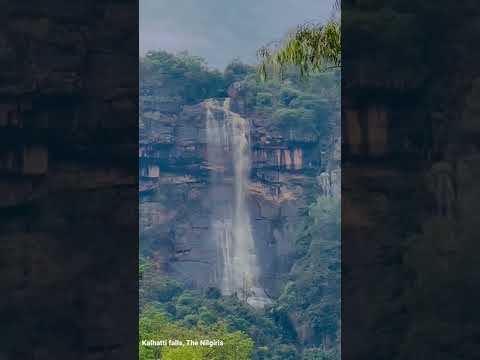 Kalhatti waterfall #kalhattifalls #thenilgiris #iphonevideo #nature #waterfall #rathikaramasamy