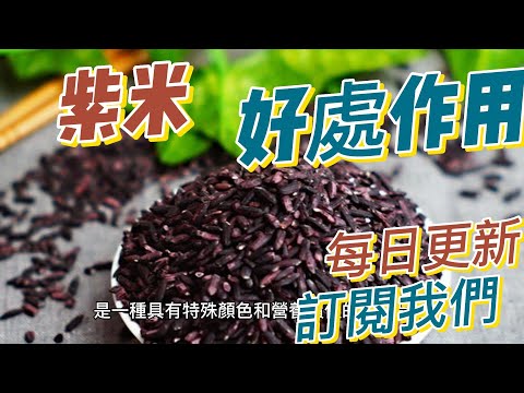 EP 188 紫米（Purple Rice）的好處與作用  保護心血管健康 營養價值高 抗氧化作用