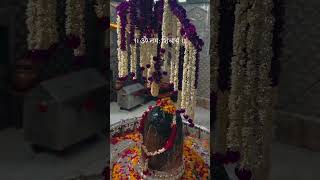 New Mahakal Status||Ujjain Mahakal Status||Mahadev status||By Mahakal Status 2023