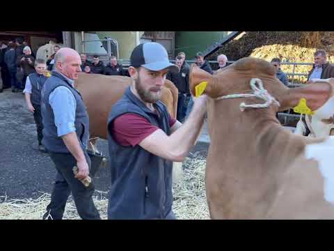 Stallbesuch beim abtretenden Präsidenten Daniel Seematter