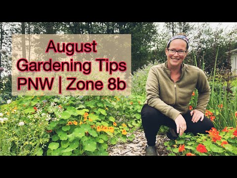 August Gardening Tips/Tasks and Seeds to Plant | PNW Zone 8b