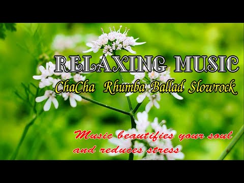 New relaxing music helps reduce stress, positive music with chacha rhumba ballad slowrock melodies