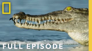 Oceans (Full Episode) | Hostile Planet