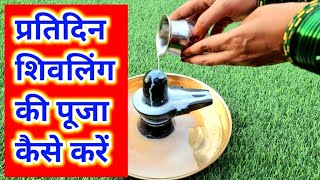 प्रतिदिन शिवलिंग की पूजा कैसे करें !! Daily shivling Pooja kaise karen !! Easy Shivling Abhishek !!