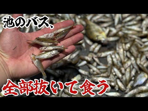 池のバス、全部抜いて食う