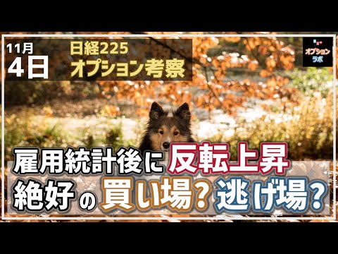 【日経225オプション考察】11/4 米雇用統計後に日経平均は反転上昇！ 絶好の買い場なのかそれとも逃げ場？