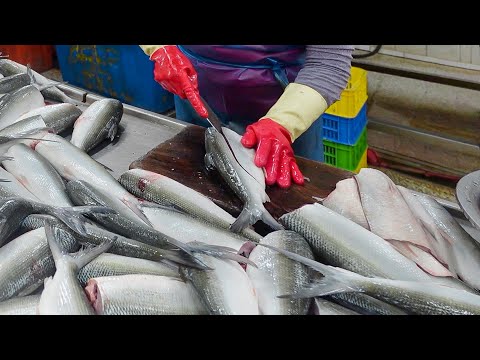 800 tons a year! Amazing Milkfish Cutting Skills / 虱目魚切割, 紅燒虱目魚肚, 魚皮湯 - Food Factory